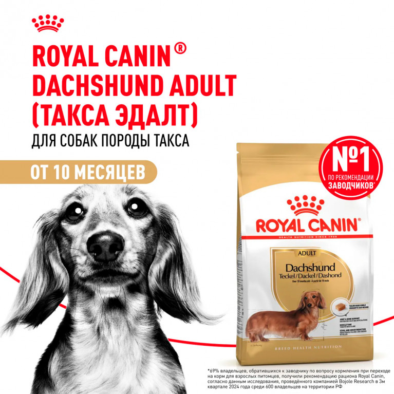 Royal Canin Dachshund Adult Сухой корм взрослых собак породы такса в возрасте от 10 месяцев и старше