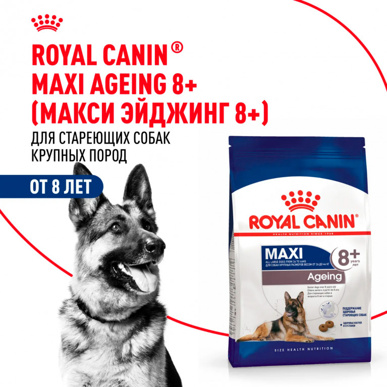 Royal Canin Maxi Ageing 8+ Корм для пожилых собак крупных пород старше 8 лет 15 кг Royal Canin Maxi Ageing 8+ Корм для пожилых собак крупных пород старше 8 лет 15 кг
