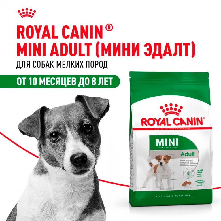 Royal Canin Mini Adult  Для взрослых собак малых пород (до 10 кг): 10 мес.- 8 лет