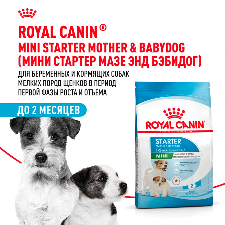 Royal Canin Mini Starter Сухой корм для щенков малых пород, беременных и кормящих сук Royal Canin Mini Starter Сухой корм для щенков малых пород, беременных и кормящих сук
