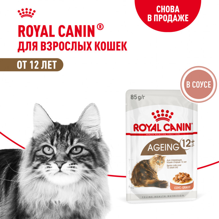 Royal Canin Ageing +12 /Пауч для кошек старше 12 лет (Кусочки в соусе) 85 г