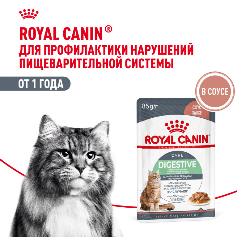 Royal Canin Digest Sensitive Пауч для кошек для улучшения пищеварения 85 г Royal Canin Digest Sensitive Пауч для кошек для улучшения пищеварения 85 г