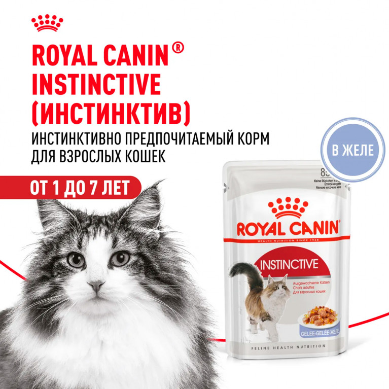 Royal Canin Instinctive Пауч для кошек (кусочки в желе Мясо) 85 г